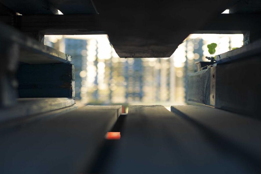 Mimmo Paladino: Il linguaggio dei segni